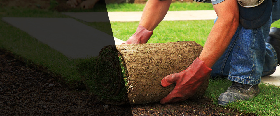 Rowland Landscapers